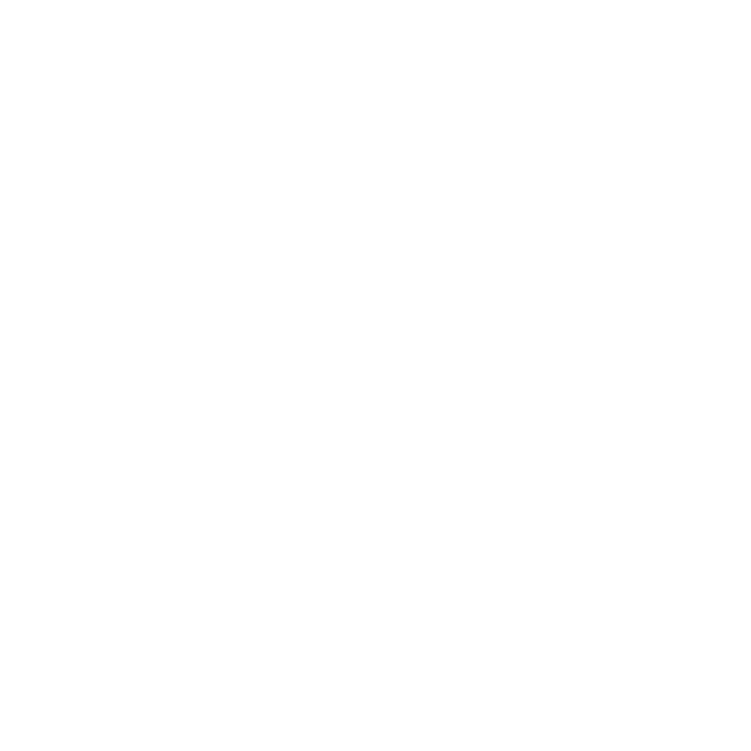 Auto Express Lozano
